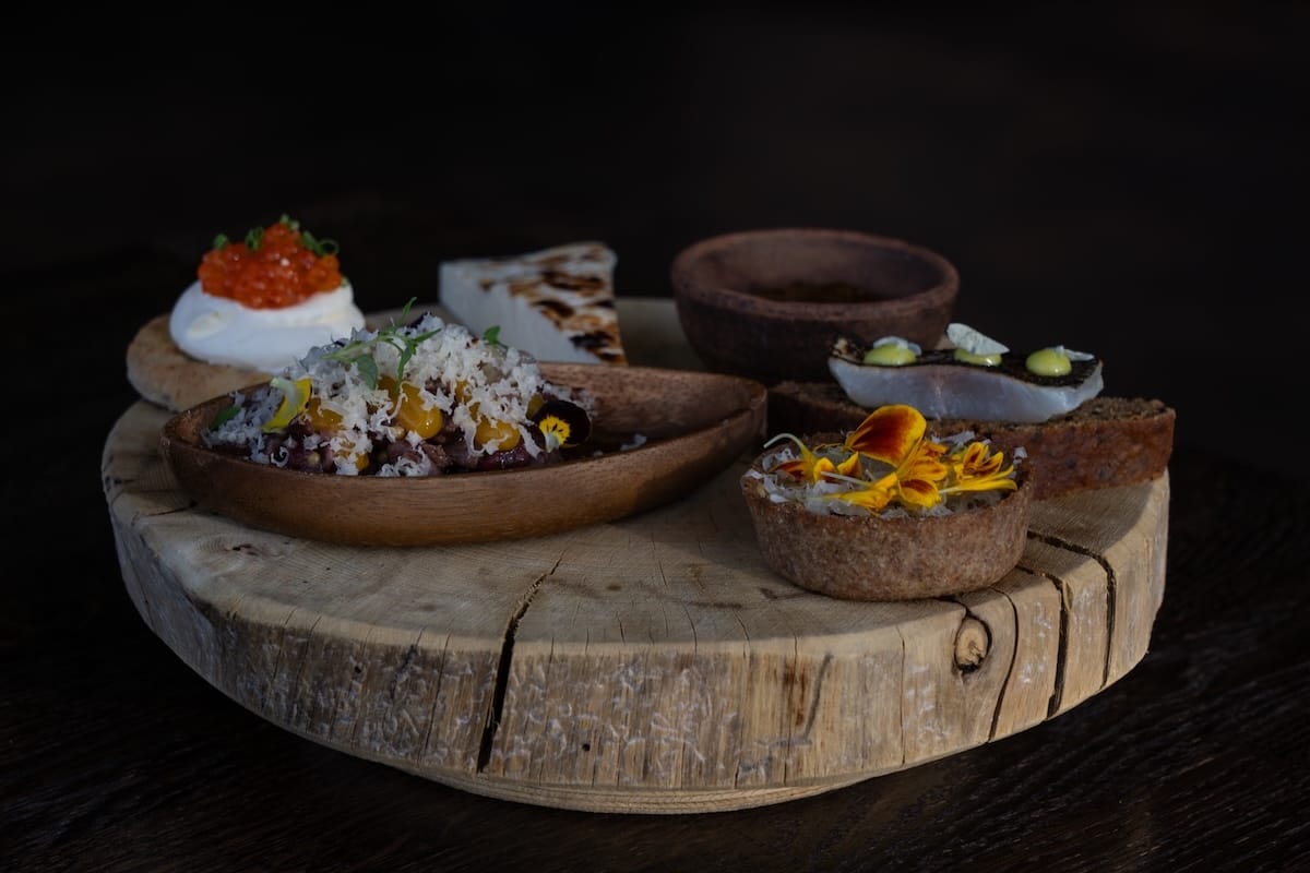 A Lappish delicacies appetizer: reindeer tartlette, reindeer tartar, a sourcream topped with rainbow trout roe, a whitefish topped with jalapeno emulsion, and a bread cheese with a cloudberry jam
