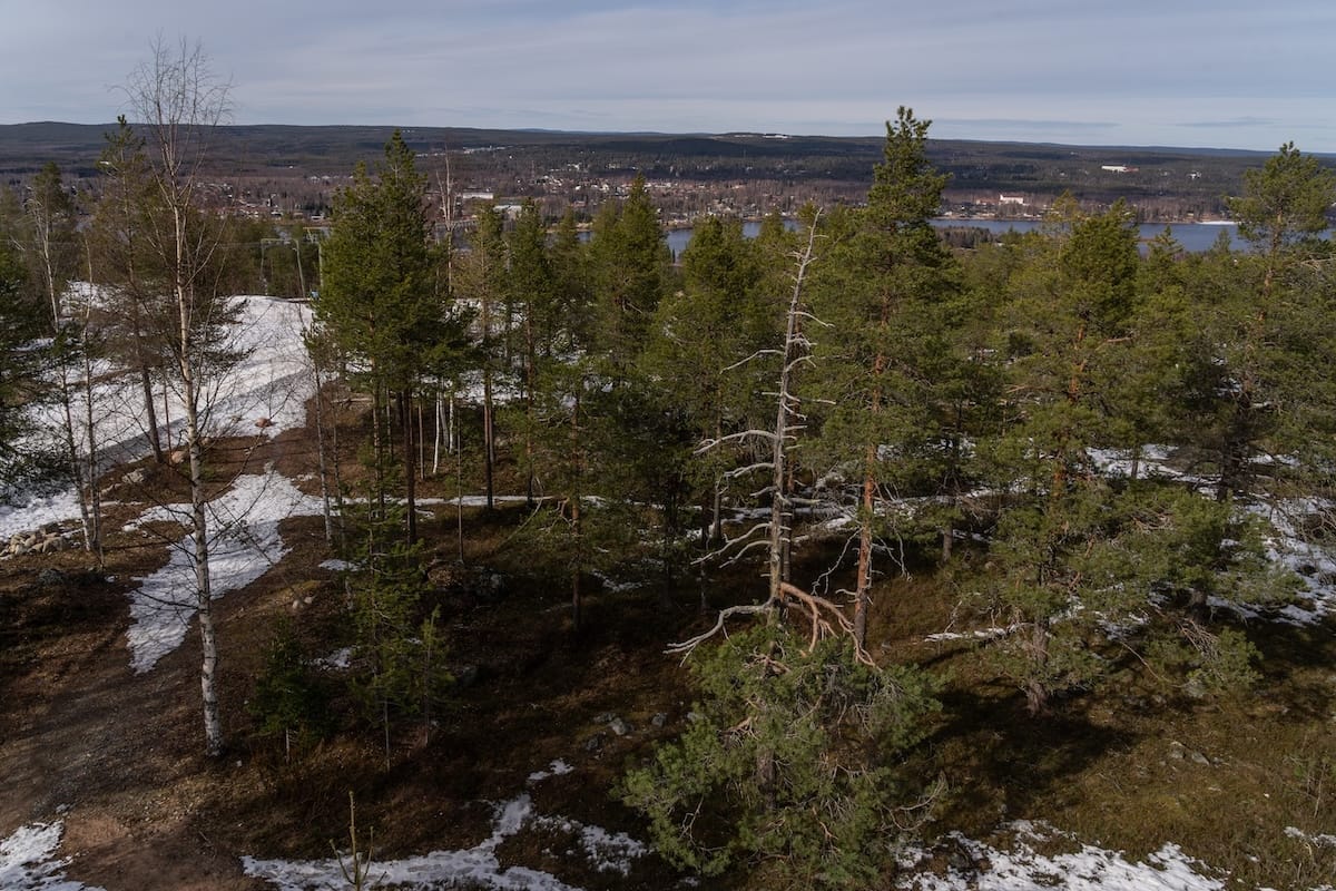 A view over a Finnish forest from the hotels sky bar. A little bit of snow is still left on the ground!
